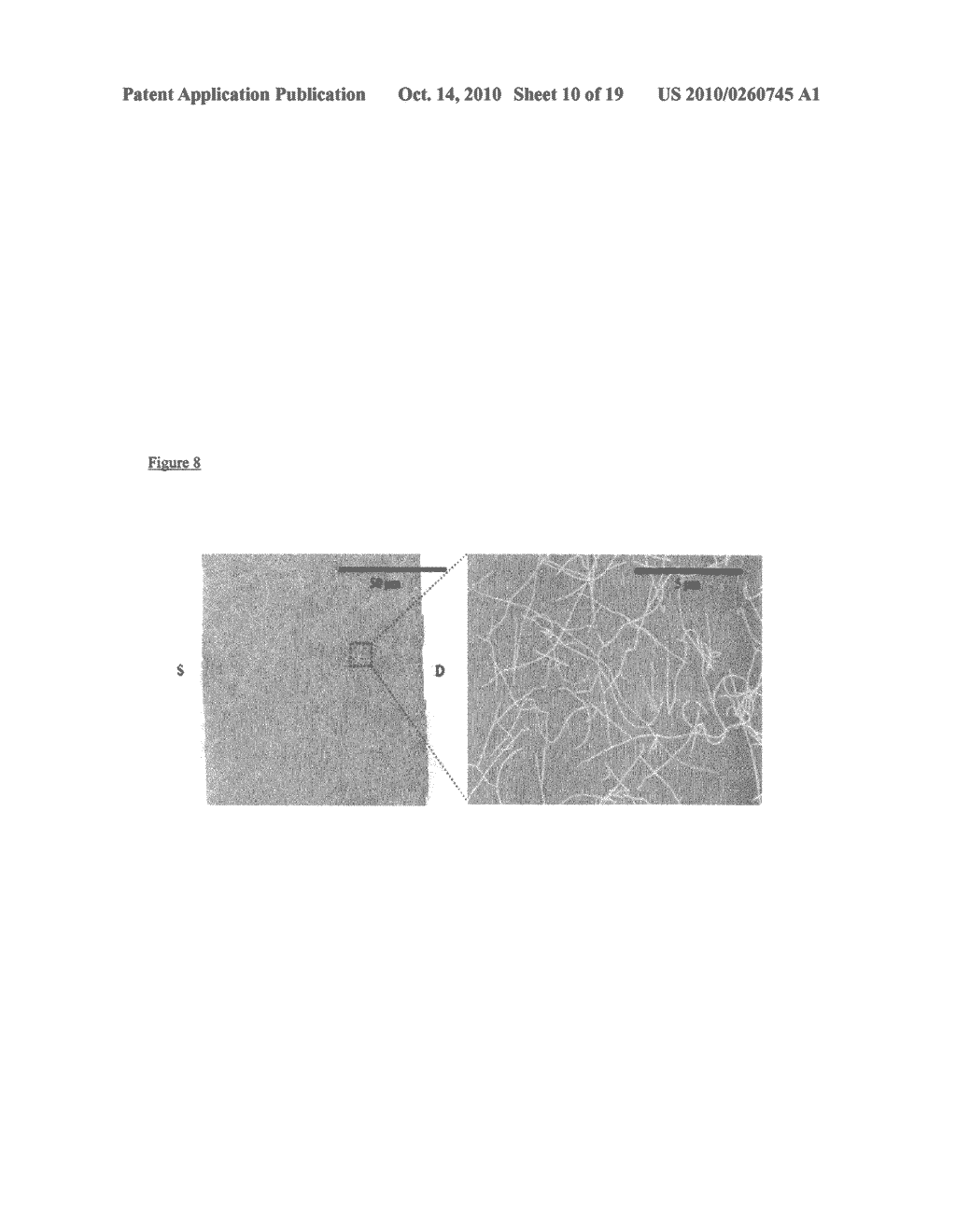 METHODS OF USING AND CONSTRUCTING NANOSENSOR PLATFORMS - diagram, schematic, and image 11