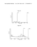 Methods and Structural Conformations of Antibody Preparations with Increased Resistance to Proteases diagram and image