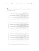 ANTIBODIES AND RELATED MOLECULES THAT BIND TO 161P2F10B PROTEINS diagram and image