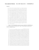 ANTIBODIES AND RELATED MOLECULES THAT BIND TO 161P2F10B PROTEINS diagram and image