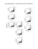 ANTIBODIES AND RELATED MOLECULES THAT BIND TO 161P2F10B PROTEINS diagram and image