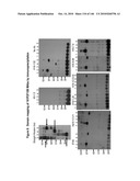 ANTIBODIES AND RELATED MOLECULES THAT BIND TO 161P2F10B PROTEINS diagram and image