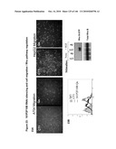 ANTIBODIES AND RELATED MOLECULES THAT BIND TO 161P2F10B PROTEINS diagram and image