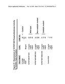 ANTIBODIES AND RELATED MOLECULES THAT BIND TO 161P2F10B PROTEINS diagram and image