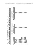 ANTIBODIES AND RELATED MOLECULES THAT BIND TO 161P2F10B PROTEINS diagram and image