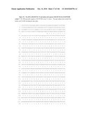 ANTIBODIES AND RELATED MOLECULES THAT BIND TO 161P2F10B PROTEINS diagram and image