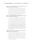 ANTIBODIES AND RELATED MOLECULES THAT BIND TO 161P2F10B PROTEINS diagram and image