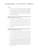 ANTIBODIES AND RELATED MOLECULES THAT BIND TO 161P2F10B PROTEINS diagram and image