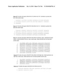 ANTIBODIES AND RELATED MOLECULES THAT BIND TO 161P2F10B PROTEINS diagram and image