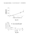 Uniform field magnetization and targeting of therapeutic formulations diagram and image