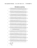 Methods of Inducing and/or Enhancing an Immune Response To Tumor Antigens diagram and image