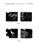 Biocompatible and Biodegradable Biopolymer Matrix diagram and image