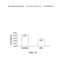 Method for loading nanoporous layers with therapeutic agent diagram and image