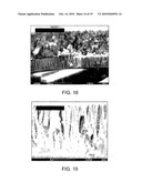 Method for loading nanoporous layers with therapeutic agent diagram and image