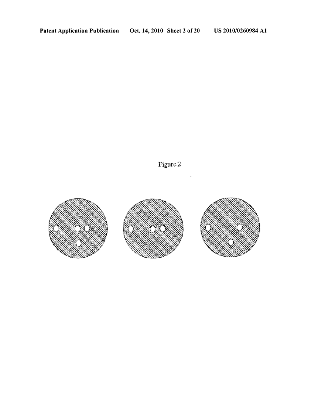 MICRODEVICES CONTAINING PHOTORECOGNIZABLE CODING PATTERNS AND METHODS OF USING AND PRODUCING THE SAME - diagram, schematic, and image 03