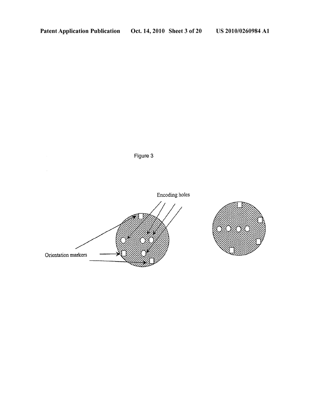 MICRODEVICES CONTAINING PHOTORECOGNIZABLE CODING PATTERNS AND METHODS OF USING AND PRODUCING THE SAME - diagram, schematic, and image 04