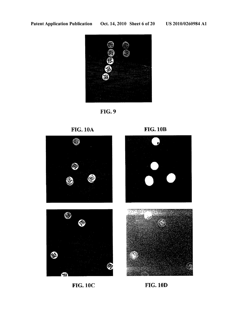 MICRODEVICES CONTAINING PHOTORECOGNIZABLE CODING PATTERNS AND METHODS OF USING AND PRODUCING THE SAME - diagram, schematic, and image 07