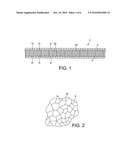 COMPOSITE LAMINATED ARTICLE AND MANUFACTURE THEREOF diagram and image