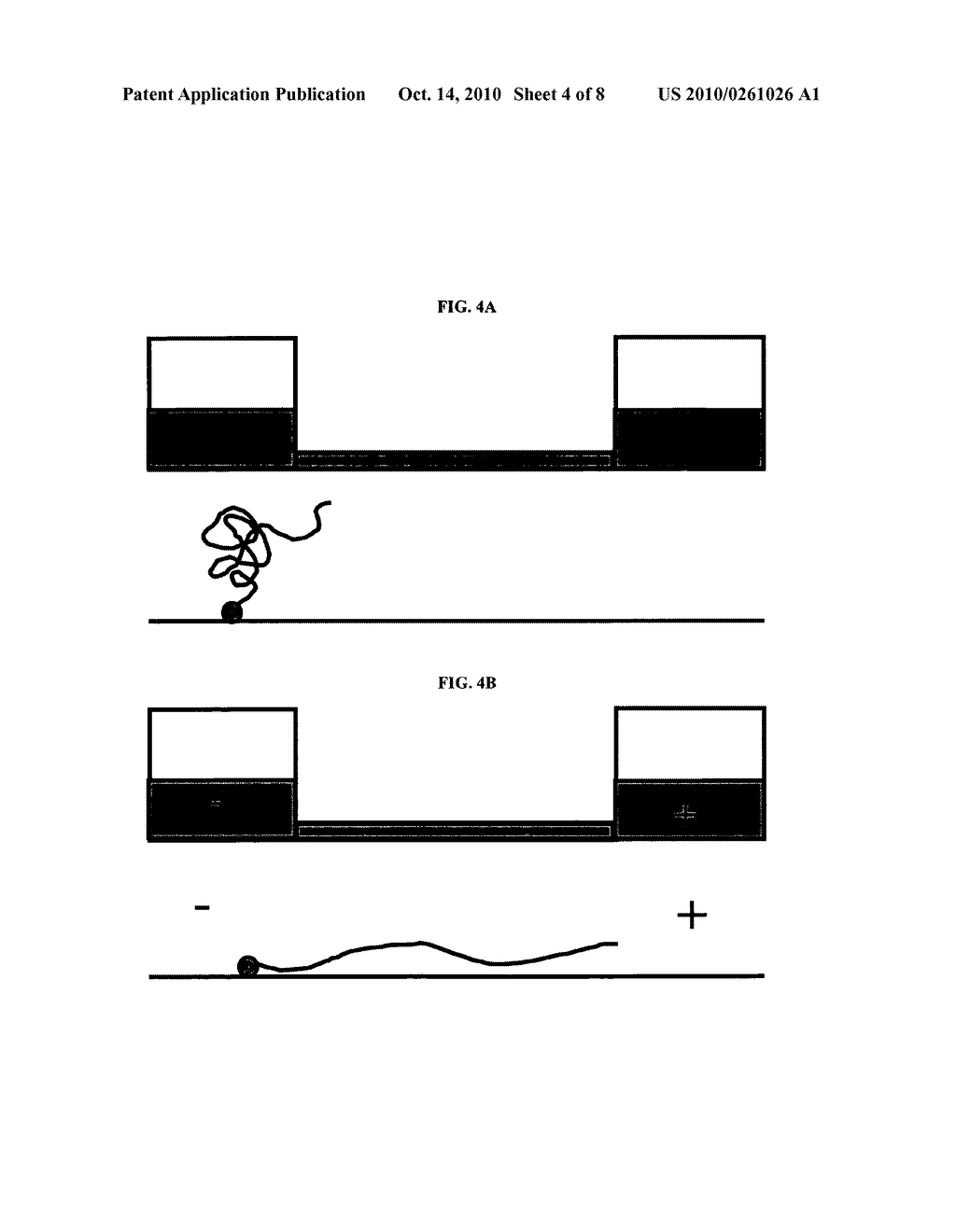 Compositions comprising oriented, immobilized macromolecules and methods for their preparation - diagram, schematic, and image 05