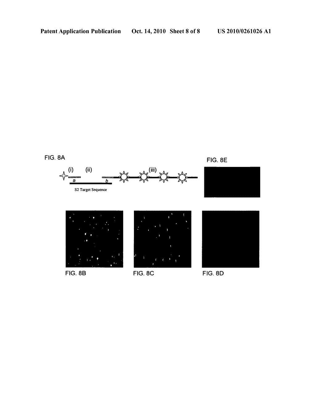 Compositions comprising oriented, immobilized macromolecules and methods for their preparation - diagram, schematic, and image 09