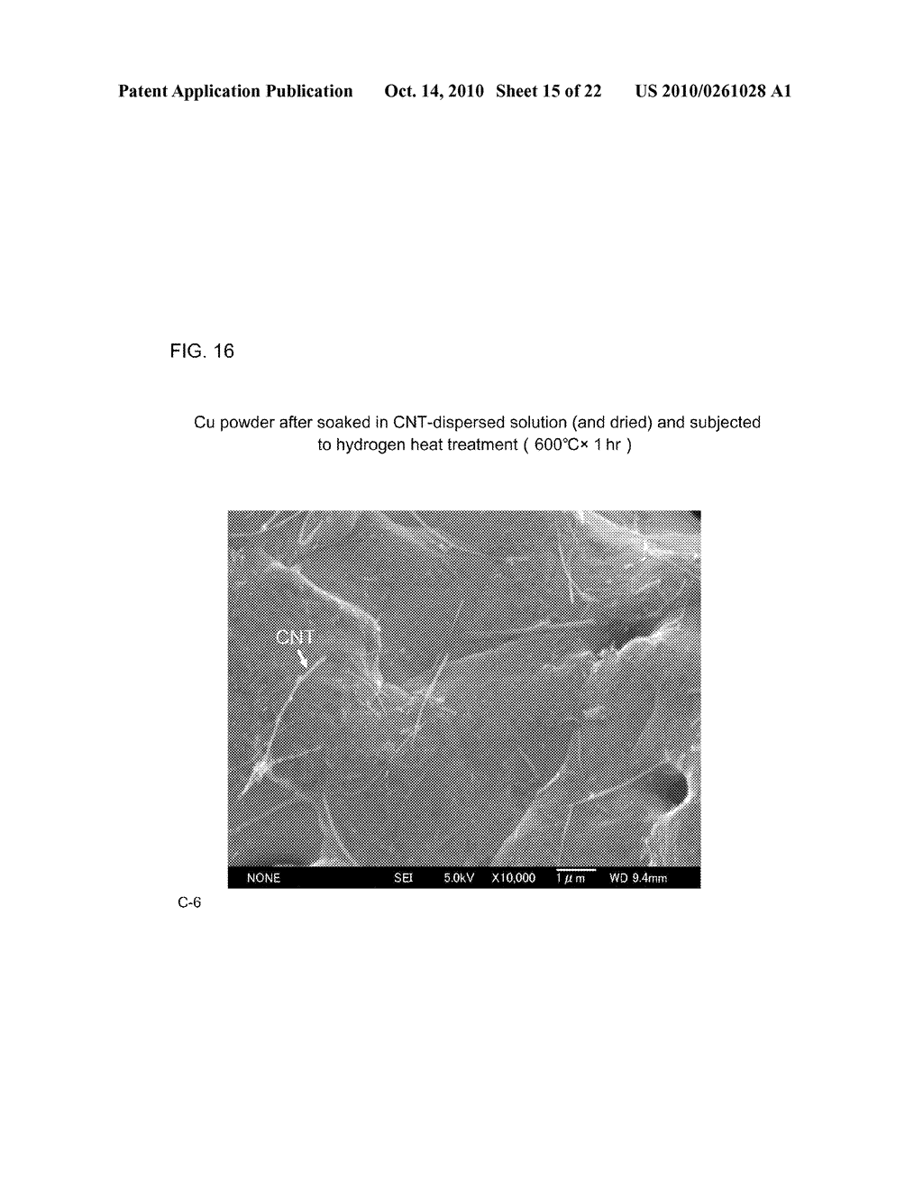 COMPOSITE METAL MATERIAL AND METHOD FOR PRODUCING THE SAME - diagram, schematic, and image 16