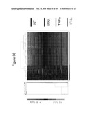 INTERFERON ALPHA-INDUCED PHARMACODYNAMIC MARKERS diagram and image