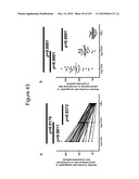 INTERFERON ALPHA-INDUCED PHARMACODYNAMIC MARKERS diagram and image