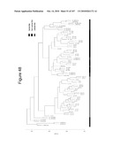 INTERFERON ALPHA-INDUCED PHARMACODYNAMIC MARKERS diagram and image