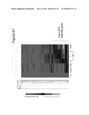 INTERFERON ALPHA-INDUCED PHARMACODYNAMIC MARKERS diagram and image