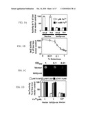 High Throughput Assays for Inhibitors and Activators of PAQR Receptors diagram and image