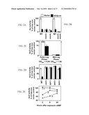 High Throughput Assays for Inhibitors and Activators of PAQR Receptors diagram and image