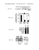 High Throughput Assays for Inhibitors and Activators of PAQR Receptors diagram and image