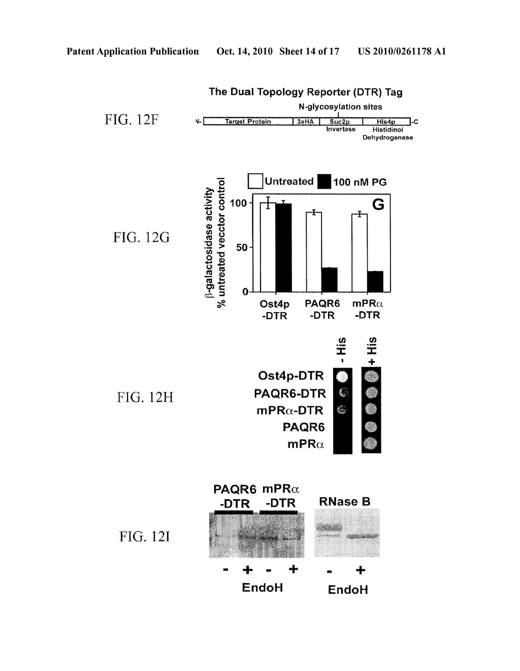 High Throughput Assays for Inhibitors and Activators of PAQR Receptors - diagram, schematic, and image 15