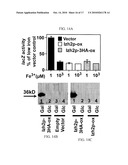 High Throughput Assays for Inhibitors and Activators of PAQR Receptors diagram and image