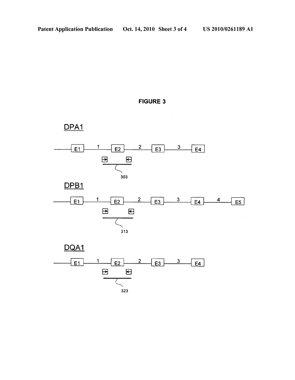 System and method for detection of HLA Variants - diagram, schematic, and image 04