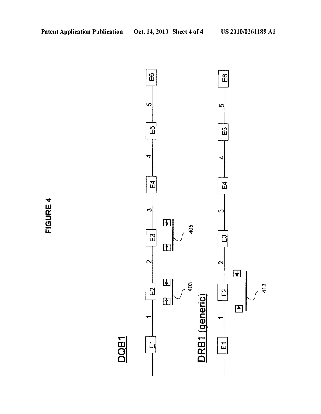 System and method for detection of HLA Variants - diagram, schematic, and image 05