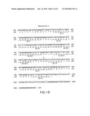 NEUTROKINE-ALPHA ANTIBODIES AND METHODS OF USE THEREOF diagram and image