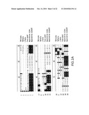 NEUTROKINE-ALPHA ANTIBODIES AND METHODS OF USE THEREOF diagram and image