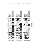 NEUTROKINE-ALPHA ANTIBODIES AND METHODS OF USE THEREOF diagram and image