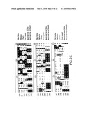 NEUTROKINE-ALPHA ANTIBODIES AND METHODS OF USE THEREOF diagram and image