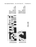 NEUTROKINE-ALPHA ANTIBODIES AND METHODS OF USE THEREOF diagram and image