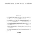 NEUTROKINE-ALPHA ANTIBODIES AND METHODS OF USE THEREOF diagram and image