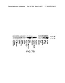 NEUTROKINE-ALPHA ANTIBODIES AND METHODS OF USE THEREOF diagram and image