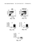 NEUTROKINE-ALPHA ANTIBODIES AND METHODS OF USE THEREOF diagram and image