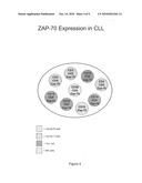 Composite Profiles of Cell Antigens and Target Signal Transduction Proteins for Analysis and Clinical Management of Hematologic Cancers diagram and image