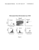 Composite Profiles of Cell Antigens and Target Signal Transduction Proteins for Analysis and Clinical Management of Hematologic Cancers diagram and image