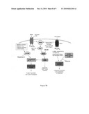 Composite Profiles of Cell Antigens and Target Signal Transduction Proteins for Analysis and Clinical Management of Hematologic Cancers diagram and image