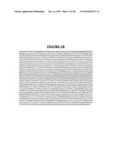 Secreted and transmembrane polypeptides and nucleic acids encoding the same diagram and image