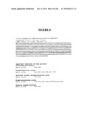 Secreted and transmembrane polypeptides and nucleic acids encoding the same diagram and image