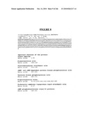 Secreted and transmembrane polypeptides and nucleic acids encoding the same diagram and image